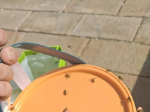 Ƹ۹ھʳӬ棡