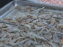 ���ϣ���ǿˮ��Ʒ������ȫ��� �ػ�������ϵİ�ȫ��