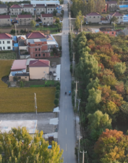 �����ˣ�����55����ũ�幫·�ᵵ����������Σ��8��...