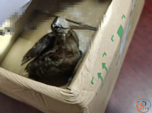 �ٿ�������һ�˾��񵽹��Ҷ����������������ʶ����