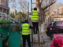 ���ϣ������޼�ץʱ�� ԰����ľ����ò