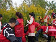 ־Ը߲ôһ֦ƻ ػ˶̬ȫ