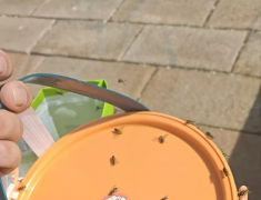 Ƹ۹ھʳӬ棡