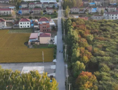 ˣ55.2﹫·ᵵΣ8...