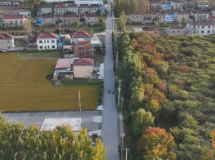 ˣ55.2﹫·ᵵΣ8...