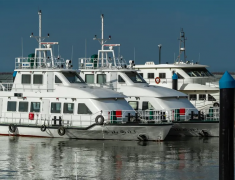 �� �� ͨ ֪��