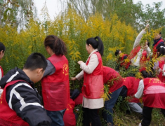 ־Ը߲ôһ֦ƻ ػ˶̬ȫ