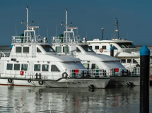 �� �� ͨ ֪��