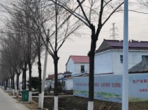 ���ϣ��°����˾ӻ������γ����ƽ�