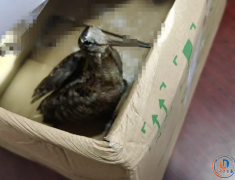 �ٿ�������һ�˾��񵽹��Ҷ����������������ʶ����