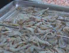 ���ϣ���ǿˮ��Ʒ������ȫ��� �ػ�������ϵİ�ȫ��