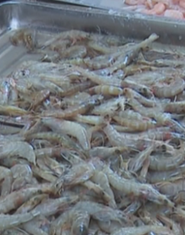 ���ϣ���ǿˮ��Ʒ������ȫ��� �ػ�������ϵİ�ȫ��