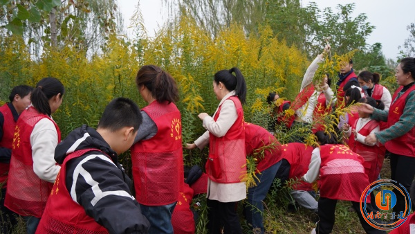 ־Ը߲ôһ֦ƻ ػ˶̬ȫ